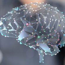 Programa Avanzado de Investigación en Neuromarketing