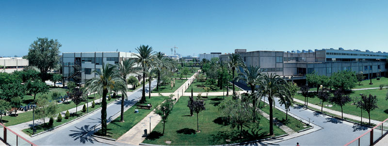 mejores universidades del mundo upv